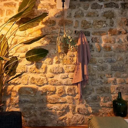 Loods - Rdc G Appartement